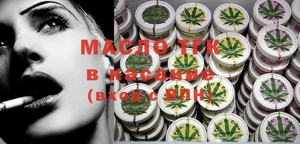 spice Богородицк
