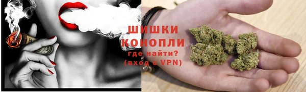 кокс Белокуриха