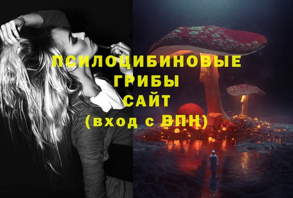 кокс Белокуриха