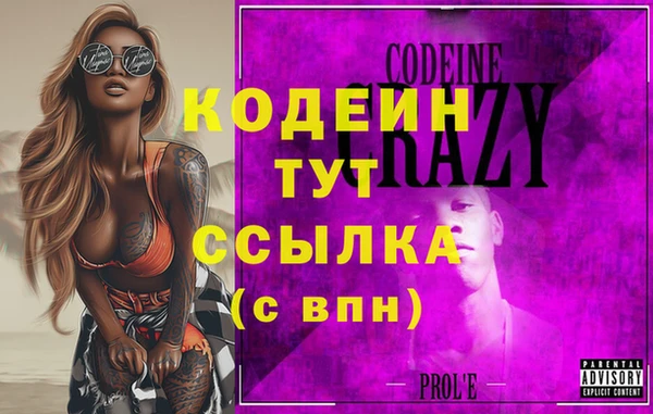 spice Богородицк