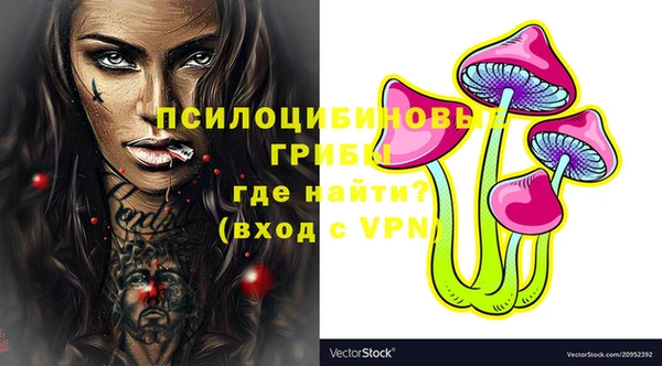 кокс Белокуриха
